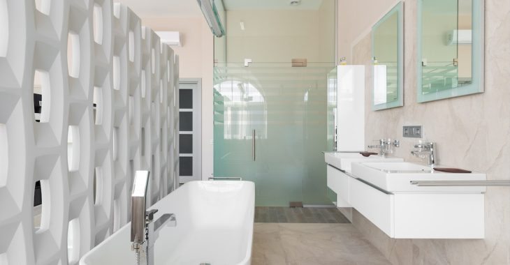Adapting Your Bathroom for People with Mobility Issues