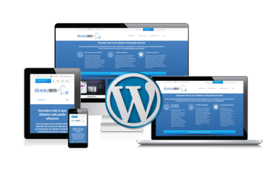 WordPress Web Design Services