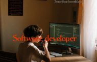 How to hire a software developer for the company?