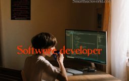 How to hire a software developer for the company?