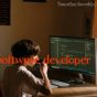 How to hire a software developer for the company