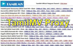 Tamilmv Proxy: A Comprehensive Guide